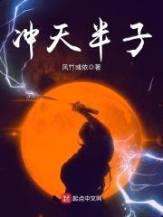 冲天半子封面
