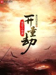 我在小世界开量劫封面