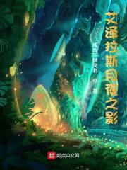 艾泽拉斯月夜之影封面
