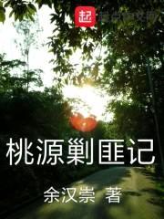 桃源剿匪记封面