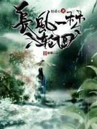 长风一梦入轮回封面