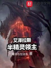 艾泽拉斯半精灵领主封面