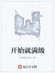 开始就满级封面
