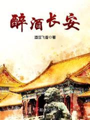 醉酒长安封面