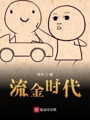 流金时代封面