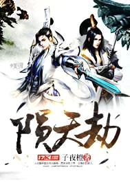 陨天劫封面