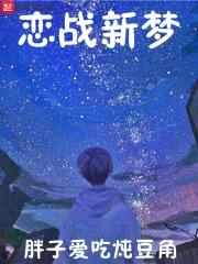 恋战新梦封面