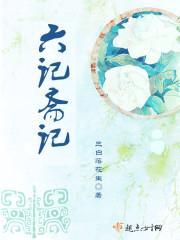 六记斋记封面