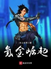 氪金崛起封面
