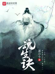 魂生诀封面