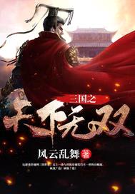 三国之天下无双封面