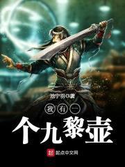 我有一个九黎壶封面