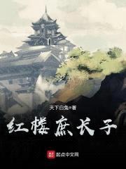 红楼庶长子封面