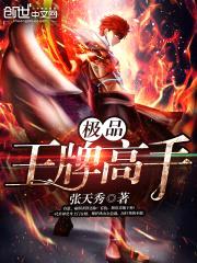 极品王牌高手封面