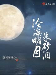 沧海明月朱砂泪封面