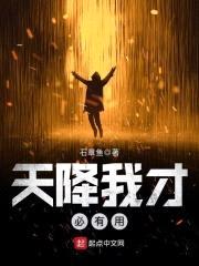 天降我才必有用封面