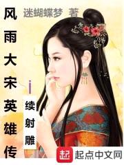风雨大宋英雄传封面