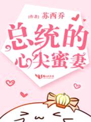 总统的心尖蜜妻封面