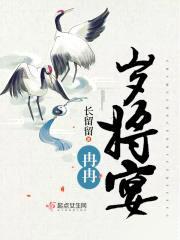 冉冉岁将宴封面