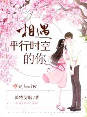 相遇平行时空的你封面