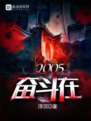 奋斗在2005封面