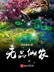 无品仙农封面