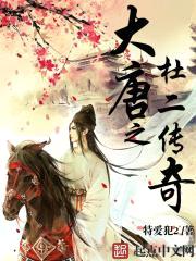 大唐之杜二传奇封面