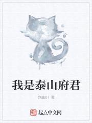 我是泰山府君封面
