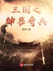 三国之神兽奇兵封面