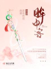 眸中客封面