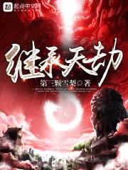 继承天劫封面