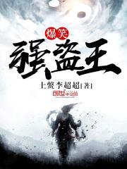 爆笑强盗王封面