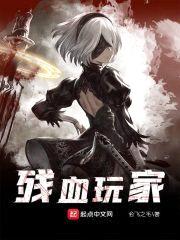 残血玩家封面