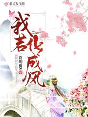 我若化成风封面