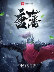 唐藩封面