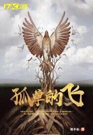 孤单的飞封面