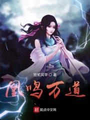 天命凰凰封面