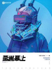 燕巢幕上封面