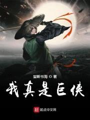 我真是巨侠封面