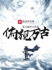 俯视万古封面