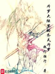 斗罗大陆的齐天斗罗封面