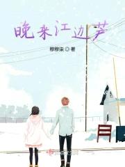 晚来江边芦封面