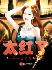 太红了怎么办封面
