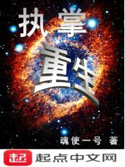 执掌重生封面
