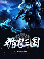 循霸三国封面