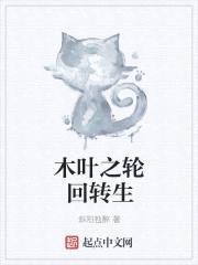 木叶之轮回转生封面