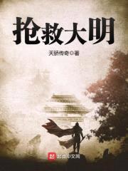 抢救大明封面