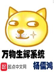 万物生辉系统封面