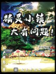 精灵小镇大有问题封面