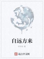 自远方来封面